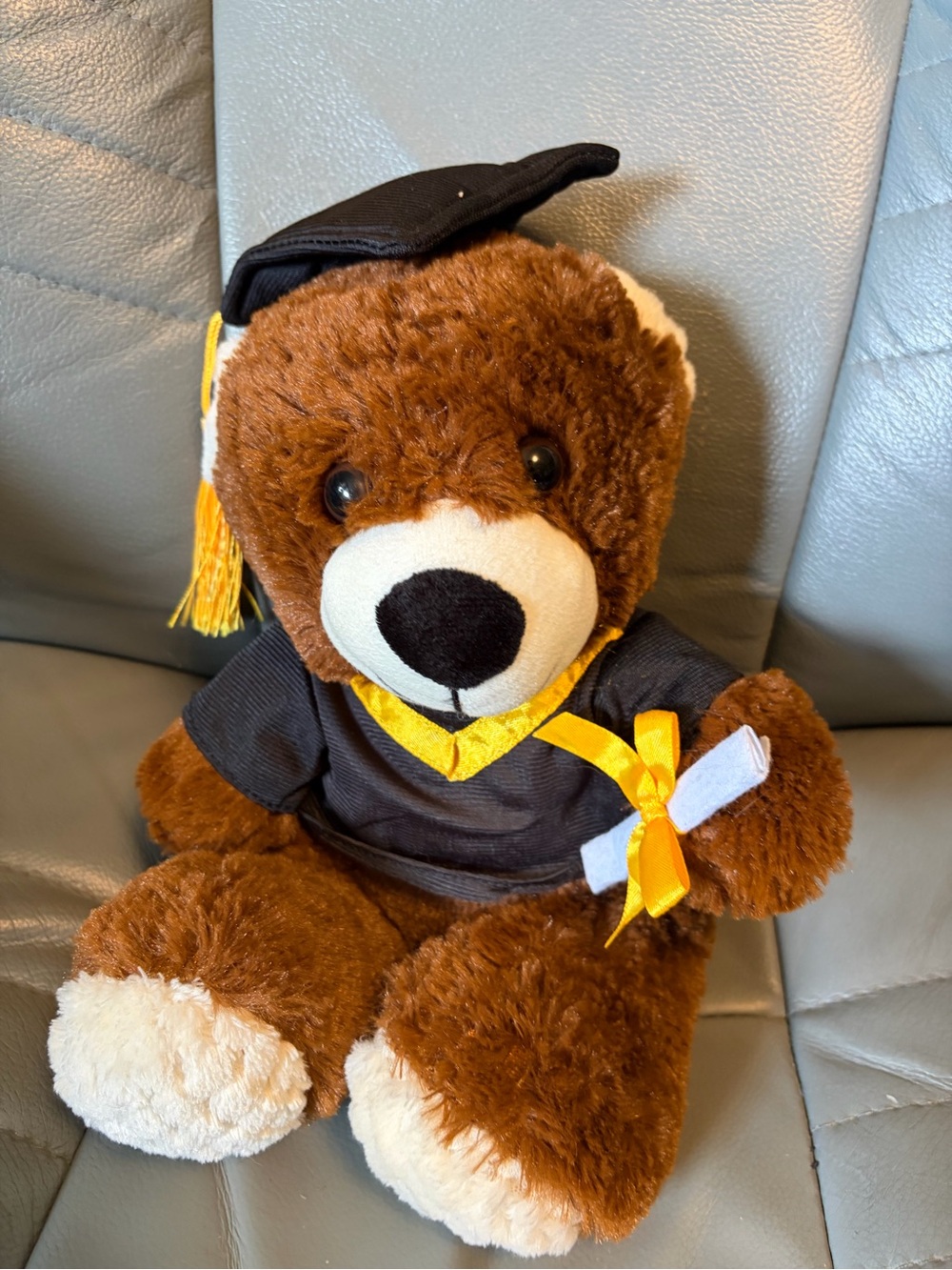 Graduation Teddy Bear Plush
